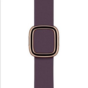 Apple Watch 40mm Aubergine Modern Buckle Band, L